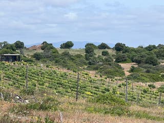 View of an abandoned country house in the distance